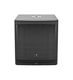 Mackie DLM12S