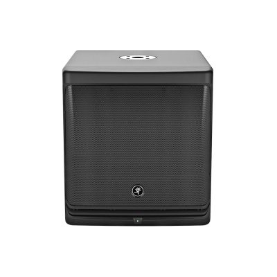 Mackie DLM12S