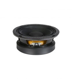 6" Speaker