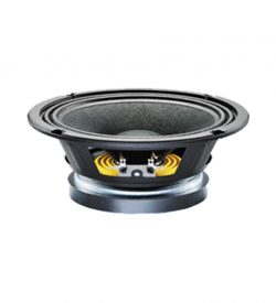 8" Speaker