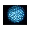 Eliminator Lighting Aqua LED 2