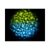 Eliminator Lighting Aqua LED 2