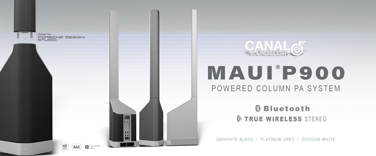 LD Systems MAUI P900