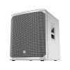 Electro-Voice ELX200-18SP-W